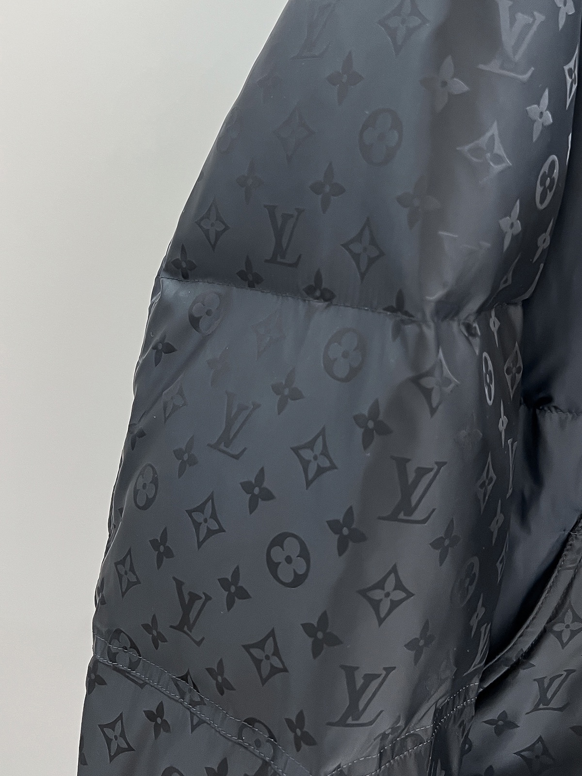 Louis Vuitton Down Jackets